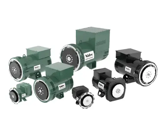 Leroy Somer Alternators